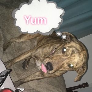 Meet your Posher, Yvanna